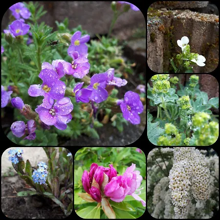 Couette-café Haus Sonnblick *